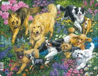 Dogs in a flower field (32 bita)