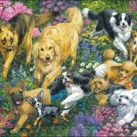 Dogs in a flower field (32 bita)