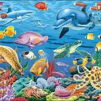 Marine life on a coral reef (35 bita)