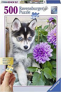 Cute husky (500XL bita)