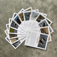 The bird card game: First deck - Image 2