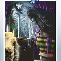 Black cat and raven (500 bita)