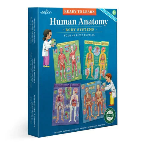 eeboo ready to learn human anatomy linda bleck 4x48 01