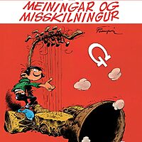 Viggó 8: Meiningar og misskilningur