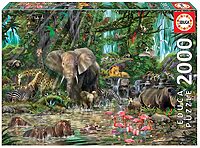 African Jungle (2000 bita)