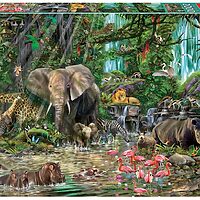 African Jungle (2000 bita)