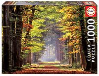 Autumn Walk (1000 bita)
