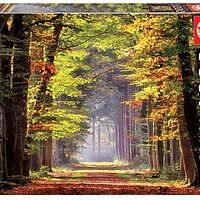 Autumn Walk (1000 bita)