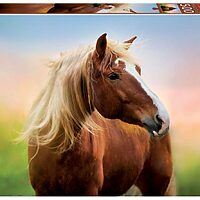 Horse at Dawn (500 bita)