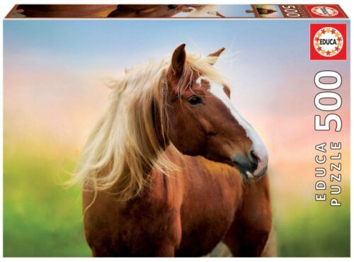 Horse at Dawn (500 bita)