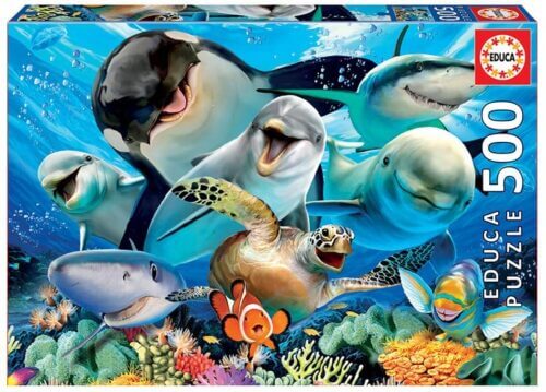 Underwater Selfie (500 bita)