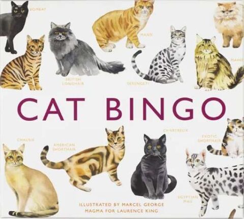 cat bingo 01