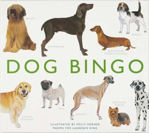 dog bingo 04