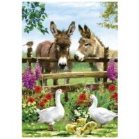 Donkeys (500 bita) - Image 2