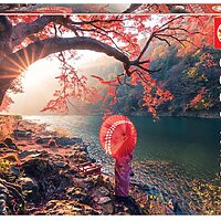 Sunrise in Katsura River, Japan (1000 bita)