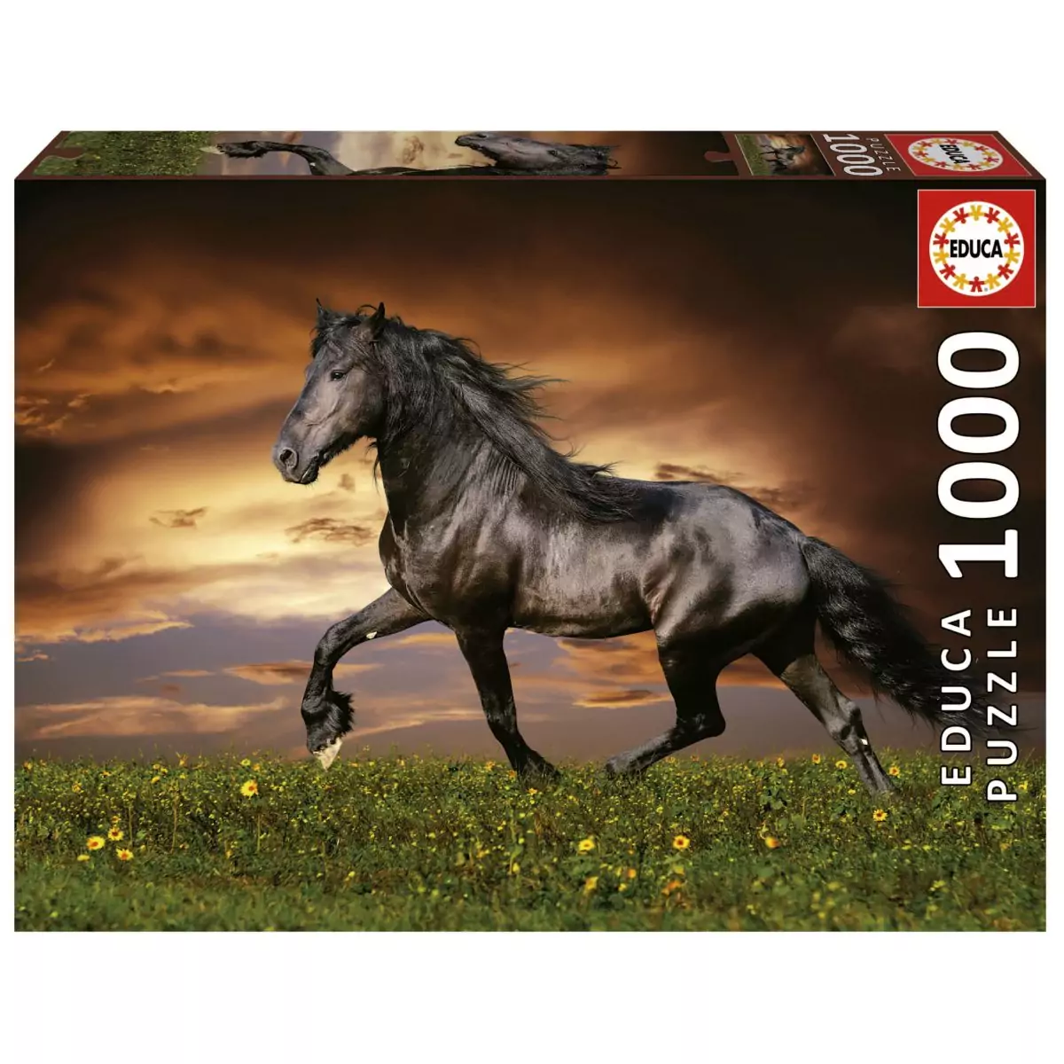 Trotting Horse (1000 bita)