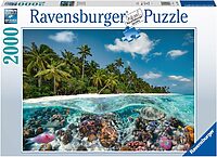 A Dive in the Maldives (2000 bita)