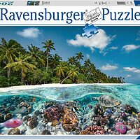 A Dive in the Maldives (2000 bita)