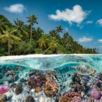 A Dive in the Maldives (2000 bita) - Image 2