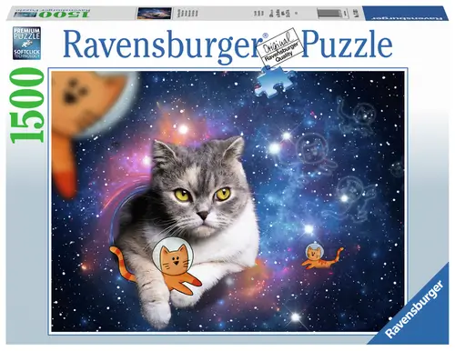 Cats in Outer Space (1500 bita)