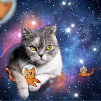 Cats in Outer Space (1500 bita) - Image 2
