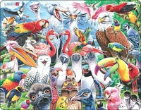 Cheerful Birds From All Over the World (115 bita)