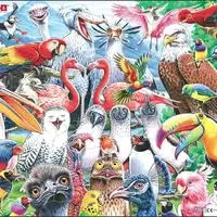 Cheerful Birds From All Over the World (115 bita)