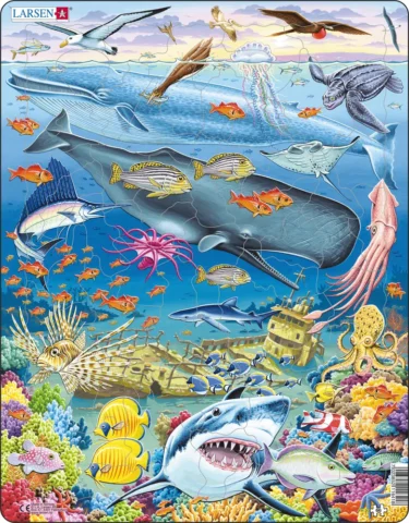 larsen marine life in the pacific ocean 66 01
