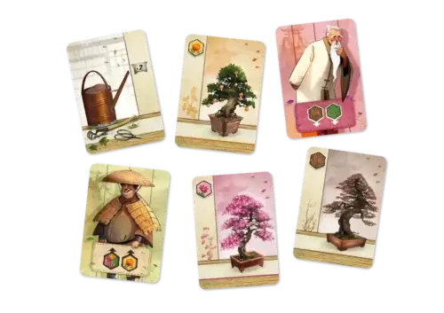 Bonsai - Image 3