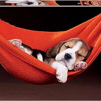 Sleeping in a hammock (500 bita)