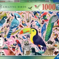 Amazing Birds (1000 bita)