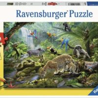 Rainforest Animals (60 bita)