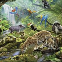 Rainforest Animals (60 bita) - Image 2