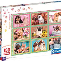 Puppies Collage (180 bitar)