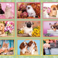 Puppies Collage (180 bitar) - Image 2