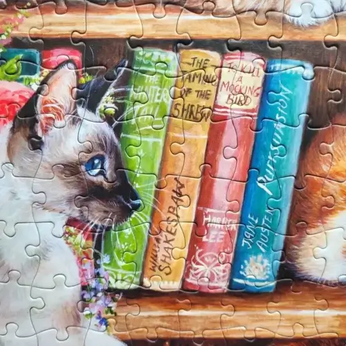Puss Back in Books (500XL bita) - Image 3