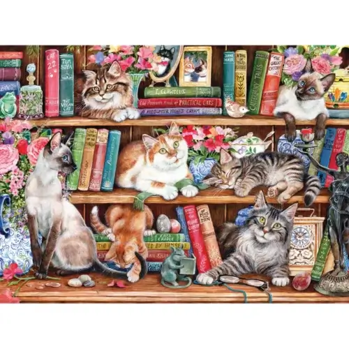 Puss Back in Books (1000 bita) - Image 2