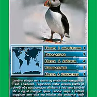 Top Trumps: Landdýr í hættu - Image 3