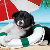Sunny Beach (104 bitar) - Image 2