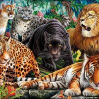 Wild Cats (500 bita) - Image 2