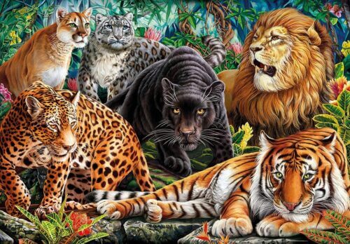 Wild Cats (500 bita) - Image 2
