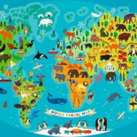 Animal World Map (150 bita) - Image 2