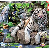 White Bengal Tigers (1000 bita)