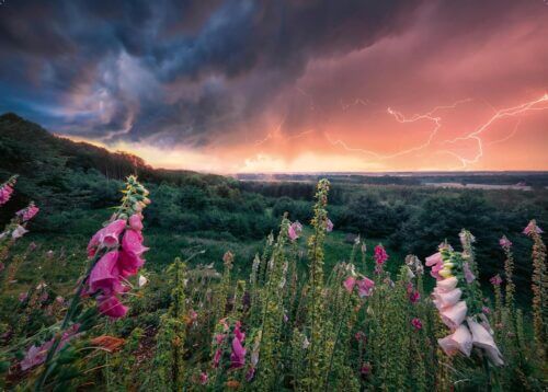 Dreamy Thunder (1000 bita) - Image 2