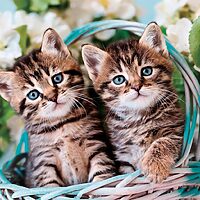 Lovely Kitty Twins (60 bitar) - Image 2