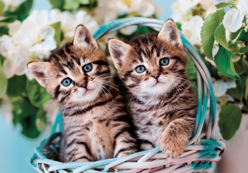 Lovely Kitty Twins (60 bitar) - Image 2