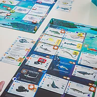 Finspan - Image 4