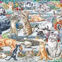 Cute Cats of Different Breeds and Sizes