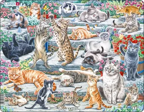 Cute Cats of Different Breeds and Sizes