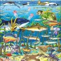 Marine Life in the North Atlantic